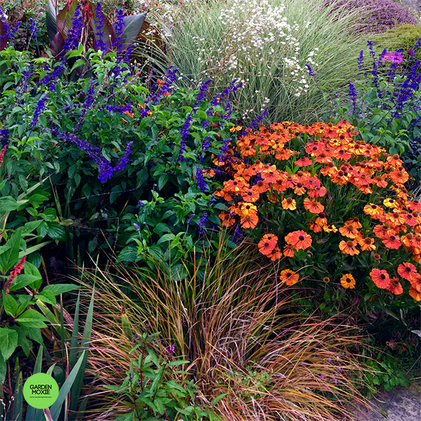 The beautiful garden at Gravetye Manor