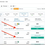 Kiwi.com Interface Showcasing Self-Transfer Flights