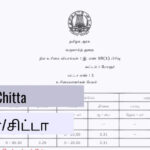 Patta chitta online document