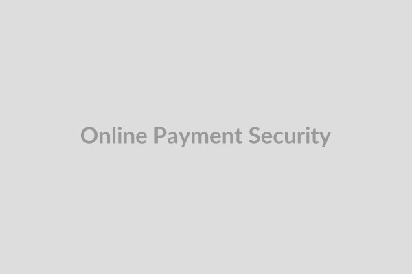 Online Payment Security