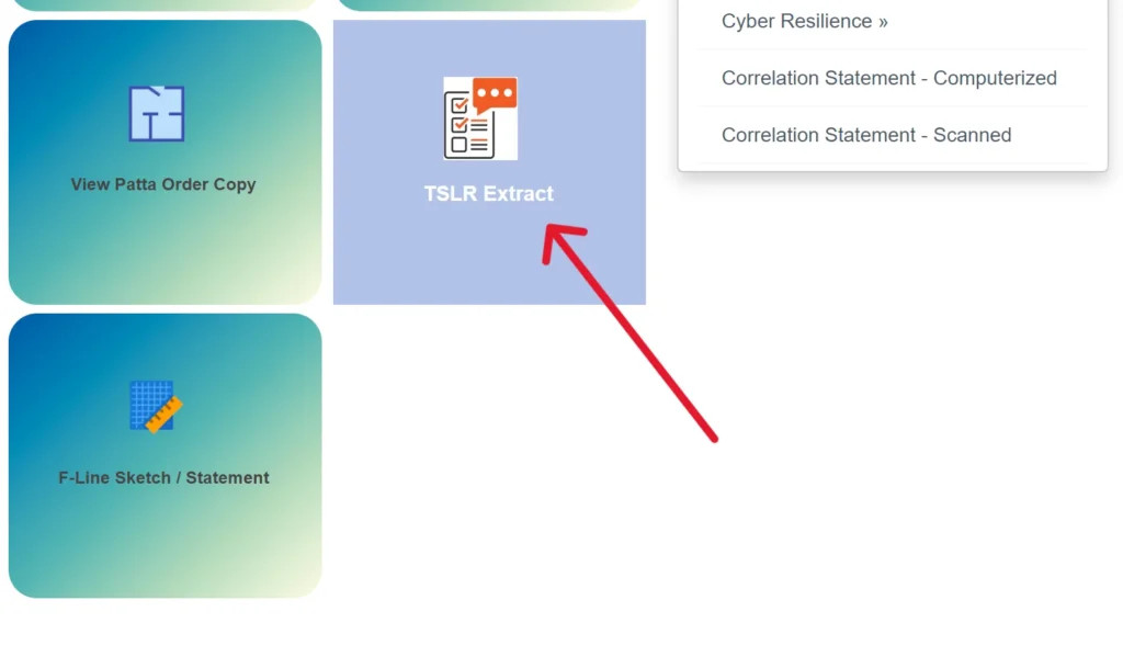 View TSLR extract